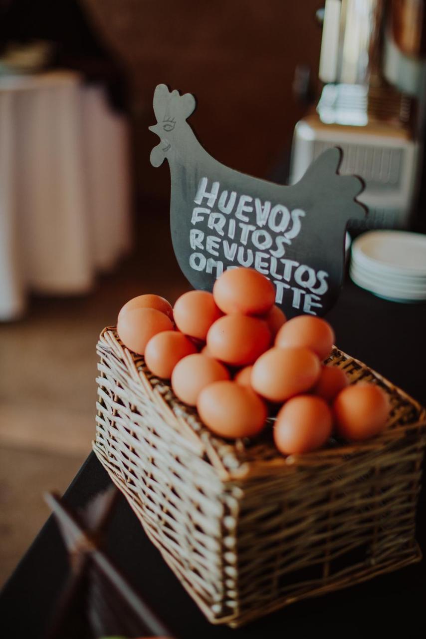Hotel Limari Ovalle Zewnętrze zdjęcie
